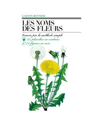 Les noms des fleurs